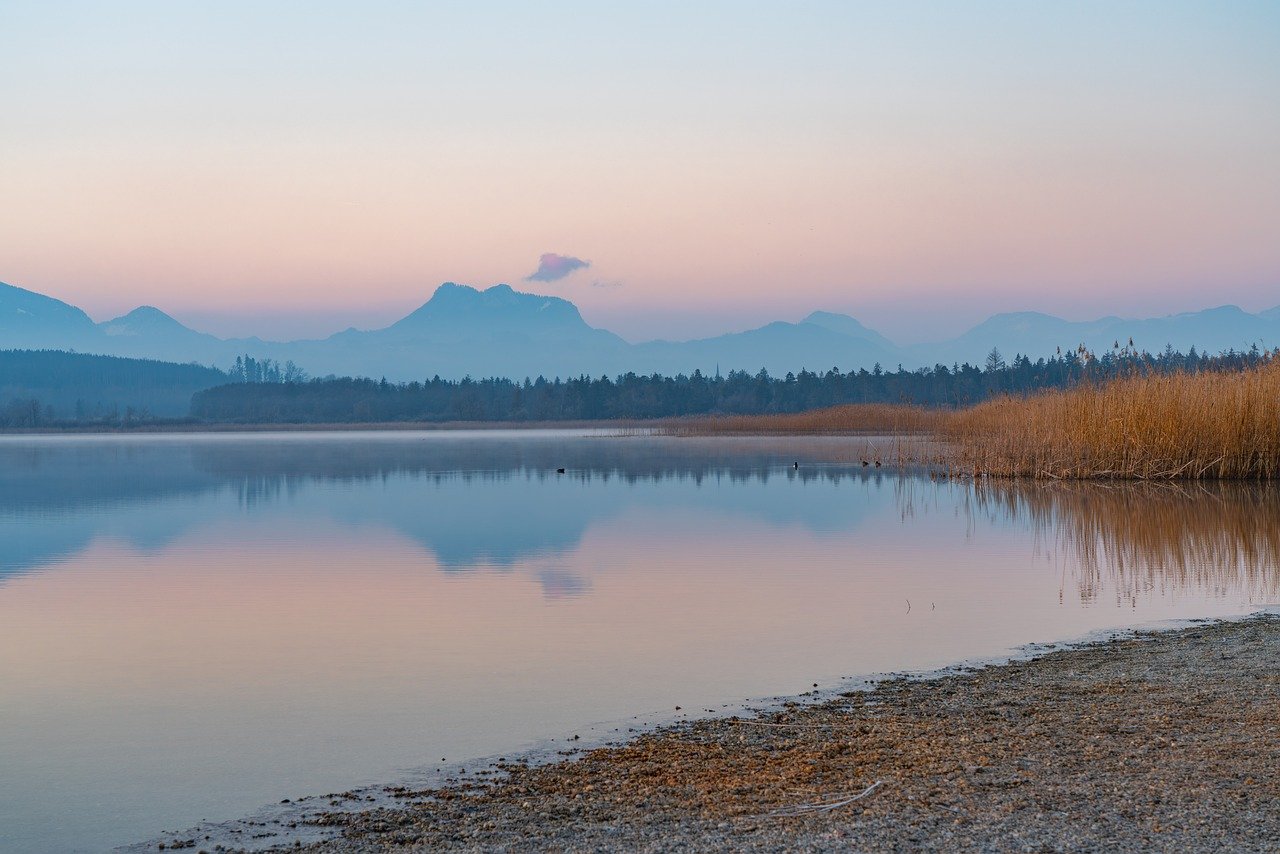 Brand Identity Design